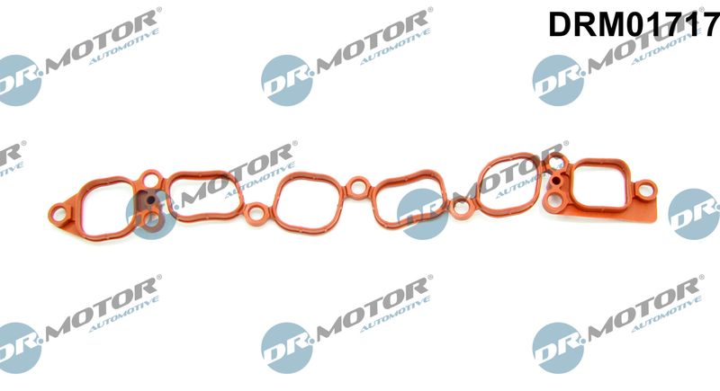 Dr.Motor Automotive DRM01717 Gasket, intake manifold
