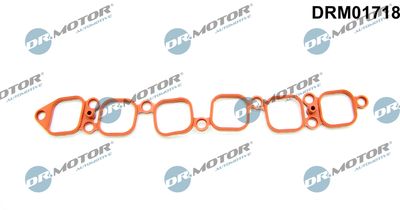 Gasket, intake manifold Dr.Motor Automotive DRM01718