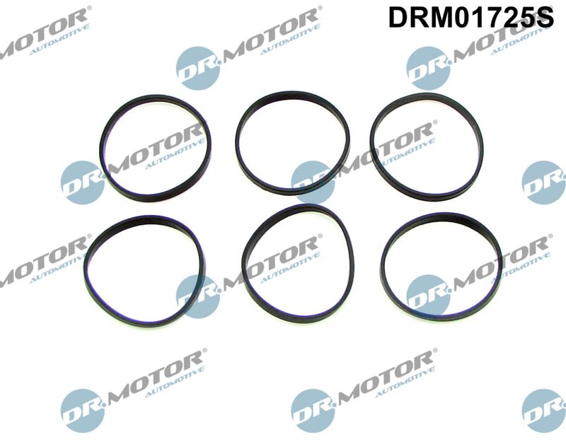 Dr.Motor Automotive DRM01725S Gasket Set, intake manifold