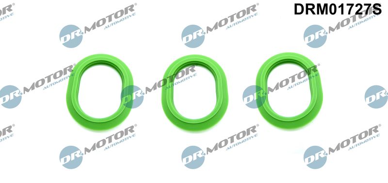 Dr.Motor Automotive DRM01727S Gasket Set, intake manifold