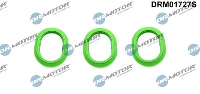 Gasket Set, intake manifold Dr.Motor Automotive DRM01727S