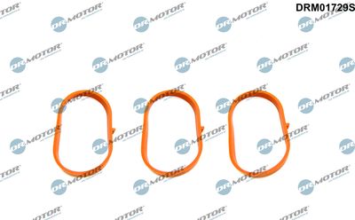 Gasket Set, intake manifold Dr.Motor Automotive DRM01729S