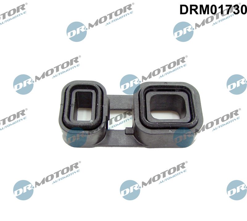 Dr.Motor Automotive DRM01730 Oil Seal, automatic transmission