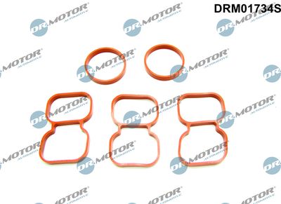 Gasket, cylinder head Dr.Motor Automotive DRM01734S