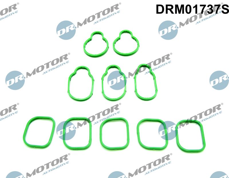 Dr.Motor Automotive DRM01737S Gasket Set, intake manifold