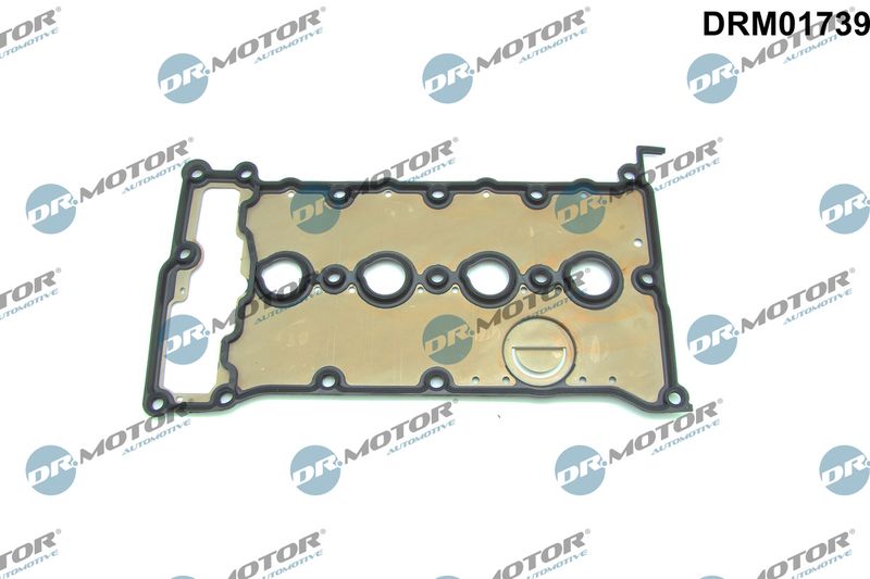 Dr.Motor Automotive DRM01739 Gasket, cylinder head cover