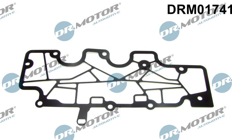 Dr.Motor Automotive DRM01741 Gasket, crankcase ventilation