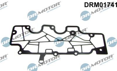 Gasket, crankcase ventilation Dr.Motor Automotive DRM01741
