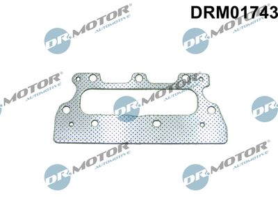 Gasket, exhaust manifold Dr.Motor Automotive DRM01743
