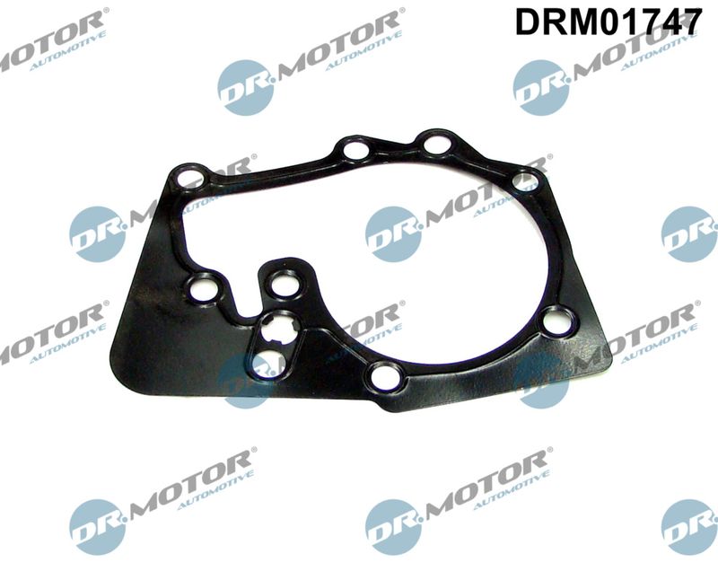 Dr.Motor Automotive DRM01747 Gasket, water pump