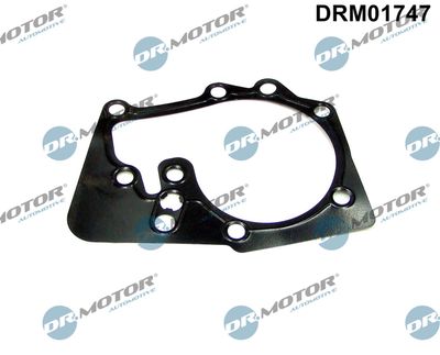 Gasket, water pump Dr.Motor Automotive DRM01747