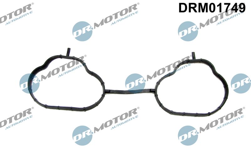 Dr.Motor Automotive DRM01749 Gasket, intake manifold