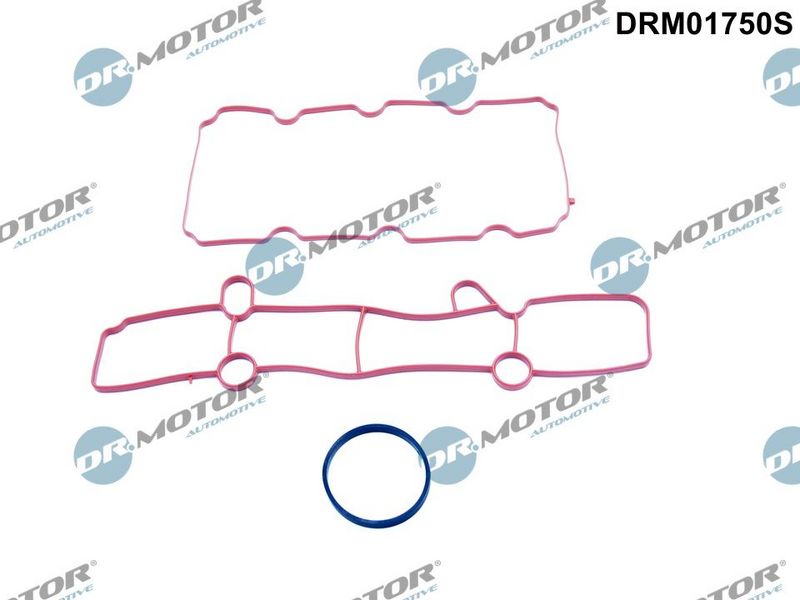 Dr.Motor Automotive DRM01750S Gasket Set, intake manifold
