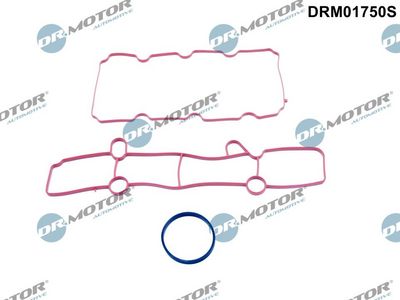 Gasket Set, intake manifold Dr.Motor Automotive DRM01750S