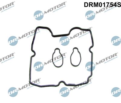 Gasket Set, cylinder head cover Dr.Motor Automotive DRM01754S