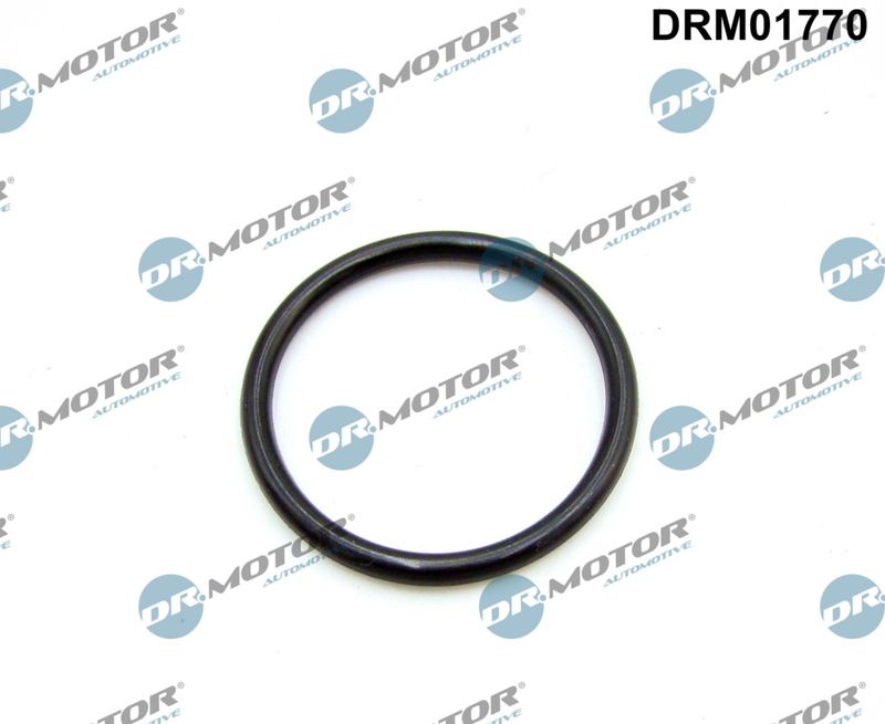 Dr.Motor Automotive DRM01770 Gasket, intake manifold