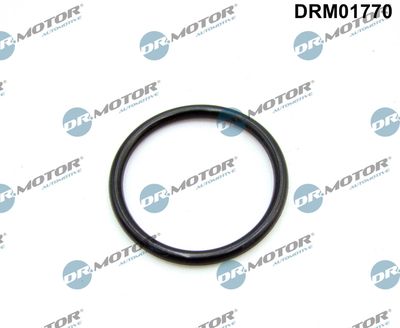 Gasket, intake manifold Dr.Motor Automotive DRM01770