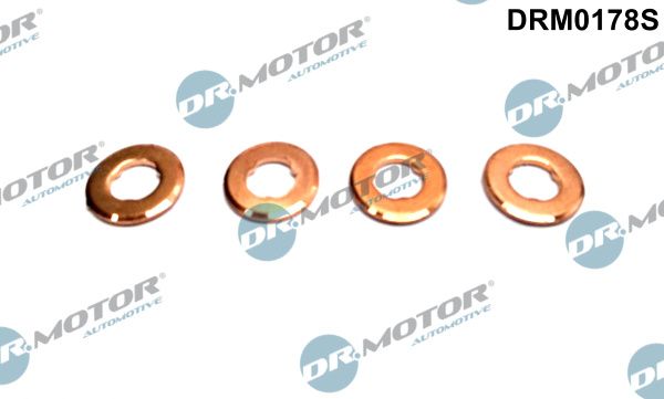 Dr.Motor Automotive DRM0178S Seal Kit, injector nozzle