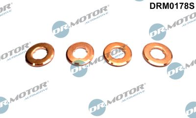 Seal Kit, injector nozzle Dr.Motor Automotive DRM0178S