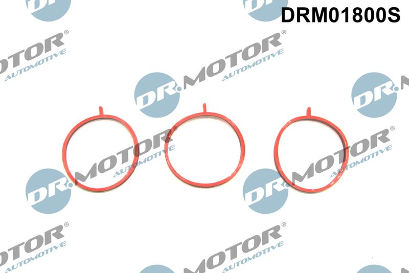 Dr.Motor Automotive DRM01800S Gasket Set, intake manifold