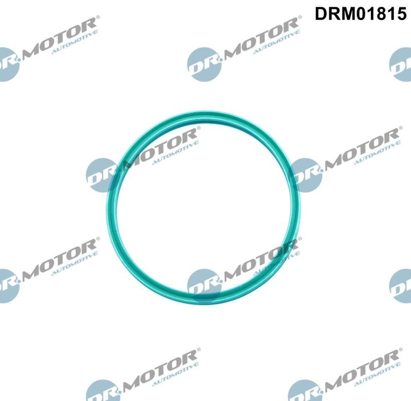 Dr.Motor Automotive DRM01815 Seal Ring, charge air hose
