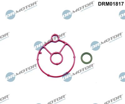 Gasket Set, oil cooler Dr.Motor Automotive DRM01817