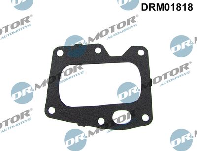 Gasket, EGR valve Dr.Motor Automotive DRM01818