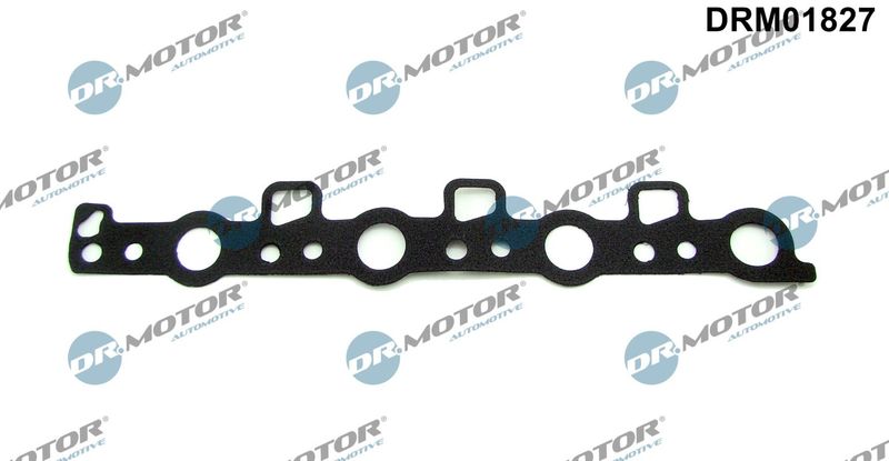 Dr.Motor Automotive DRM01827 Seal, camshaft sealing cover
