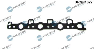 Seal, camshaft sealing cover Dr.Motor Automotive DRM01827