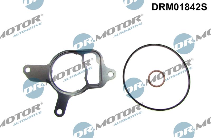 Dr.Motor Automotive DRM01842S Seal Set, vacuum pump