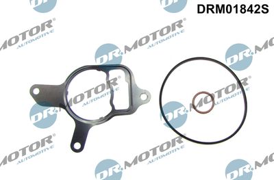 Seal Set, vacuum pump Dr.Motor Automotive DRM01842S