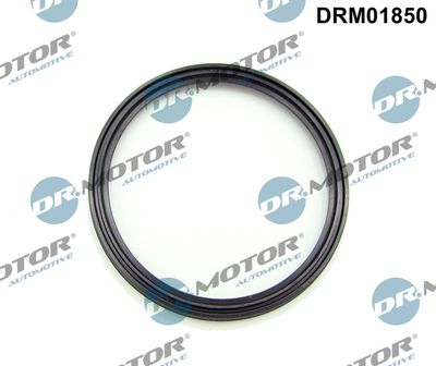 Seal Ring, charge air hose Dr.Motor Automotive DRM01850