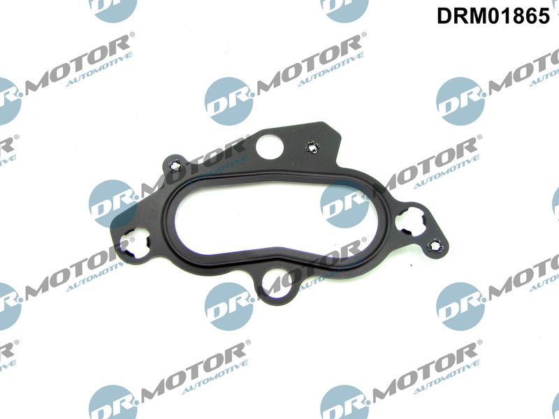 Dr.Motor Automotive DRM01865 Gasket, thermostat housing