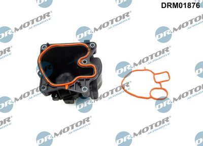Cooler, exhaust gas recirculation Dr.Motor Automotive DRM01876