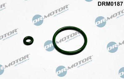 Seal Ring, nozzle holder Dr.Motor Automotive DRM0187
