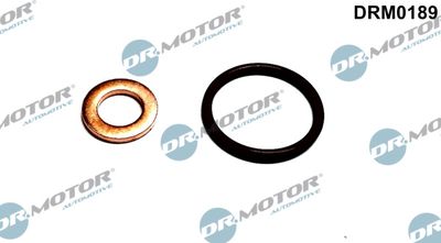 Seal Kit, injector nozzle Dr.Motor Automotive DRM0189