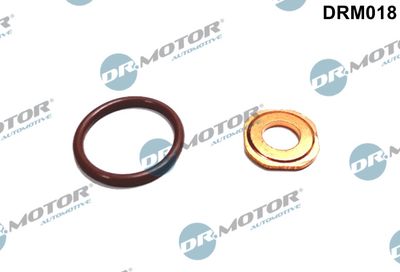 Seal Set, injection system Dr.Motor Automotive DRM018