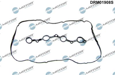 Gasket Set, cylinder head cover Dr.Motor Automotive DRM01908S