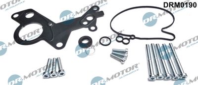 Repair Set, vacuum pump (braking system) Dr.Motor Automotive DRM0190