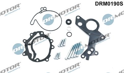 Repair Set, vacuum pump (braking system) Dr.Motor Automotive DRM0190S