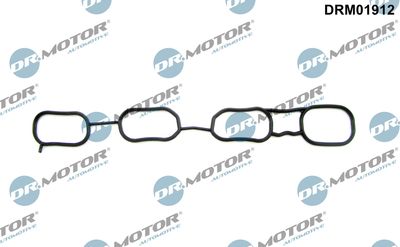 Gasket, intake manifold Dr.Motor Automotive DRM01912