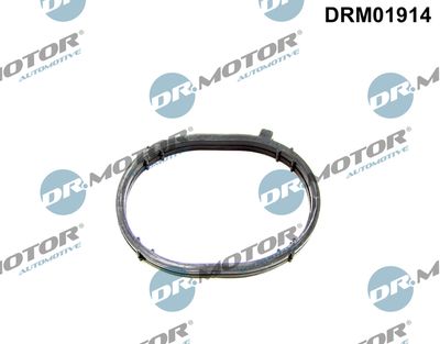 Gasket, intake manifold Dr.Motor Automotive DRM01914