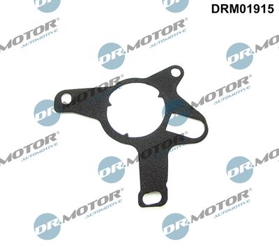 Gasket, vacuum pump Dr.Motor Automotive DRM01915