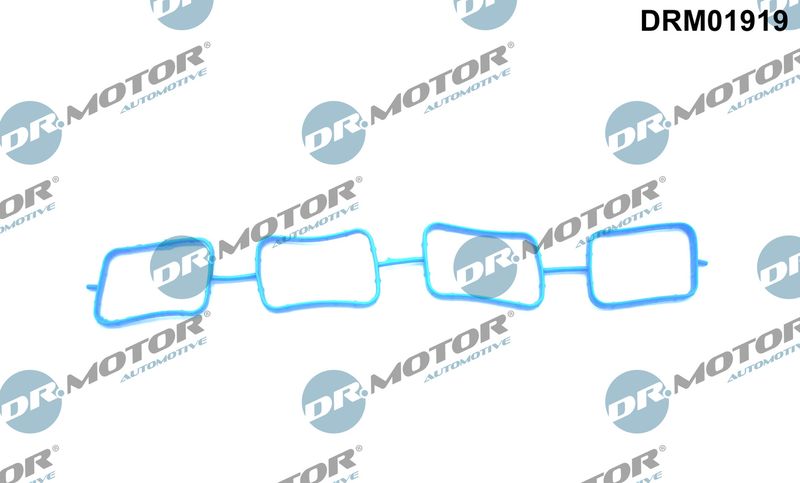 Dr.Motor Automotive DRM01919 Gasket, intake manifold