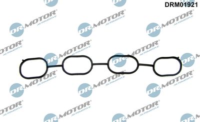 Gasket, intake manifold Dr.Motor Automotive DRM01921