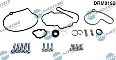 Repair Set, vacuum pump (braking system) Dr.Motor Automotive DRM0192