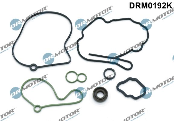 Dr.Motor Automotive DRM0192K Seal Set, vacuum pump