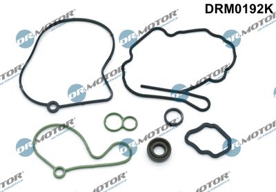 Seal Set, vacuum pump Dr.Motor Automotive DRM0192K