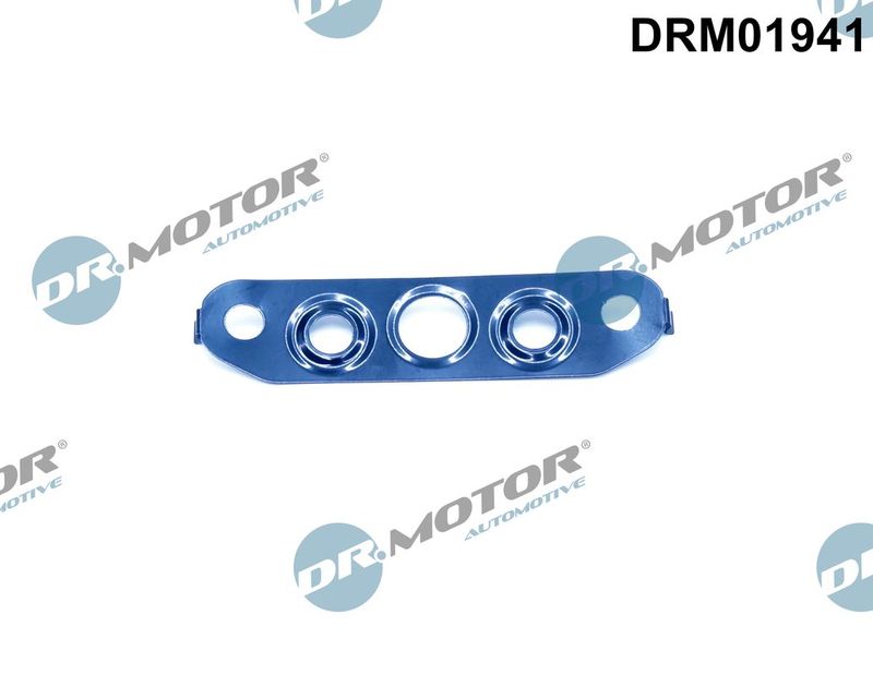 Dr.Motor Automotive DRM01941 Gasket, oil outlet (charger)