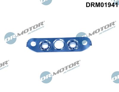 Gasket, oil outlet (charger) Dr.Motor Automotive DRM01941